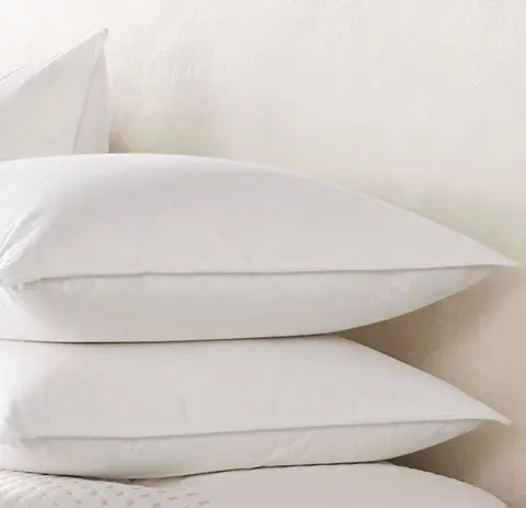 Waldorf Astoria Down Pillow